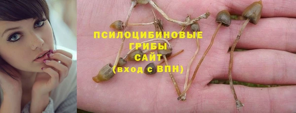 прущие грибы Белоозёрский