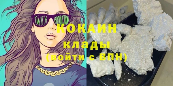 mix Богородицк