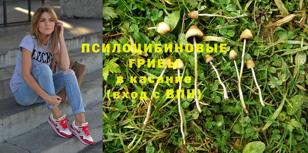 прущие грибы Белоозёрский