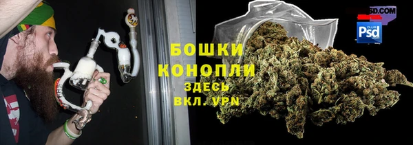 2c-b Белокуриха