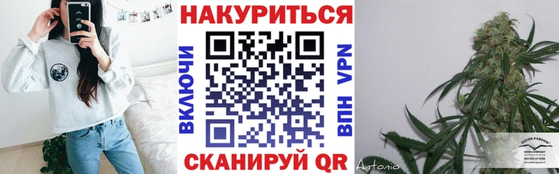 Шишки марихуана сатива Великий Устюг